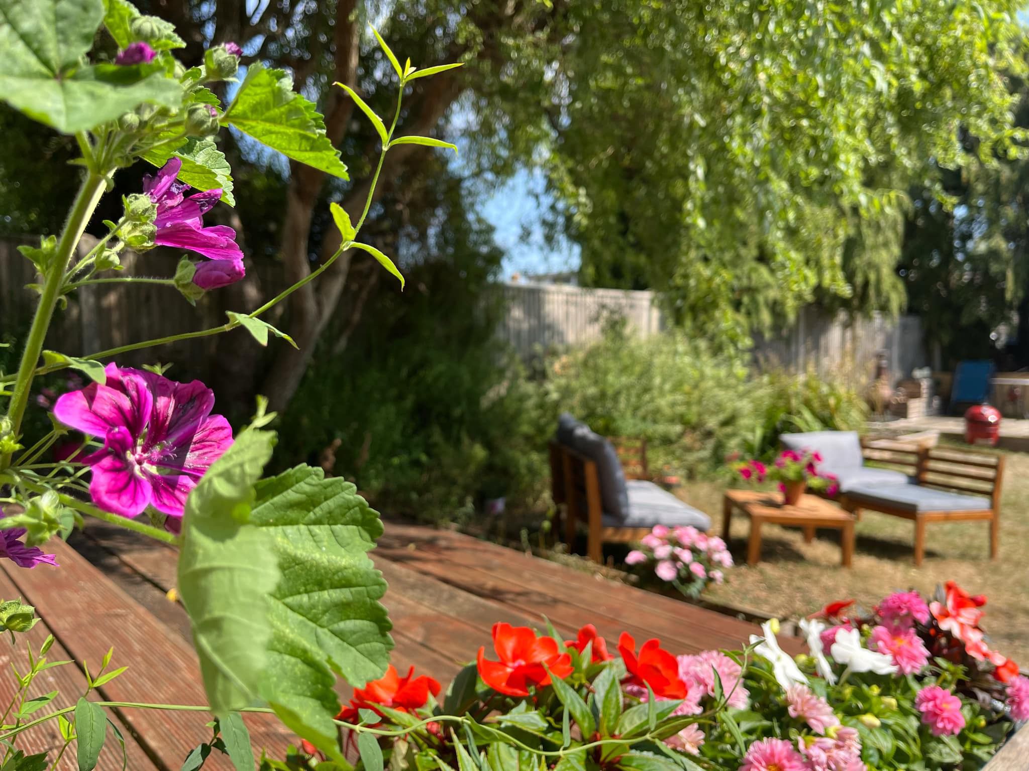 Beautiful sunlit living area